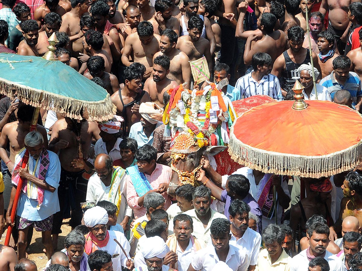 Kadiri Sri Lakshmi Narasimha Swami Rathotsavam Photo Gallery - Sakshi29