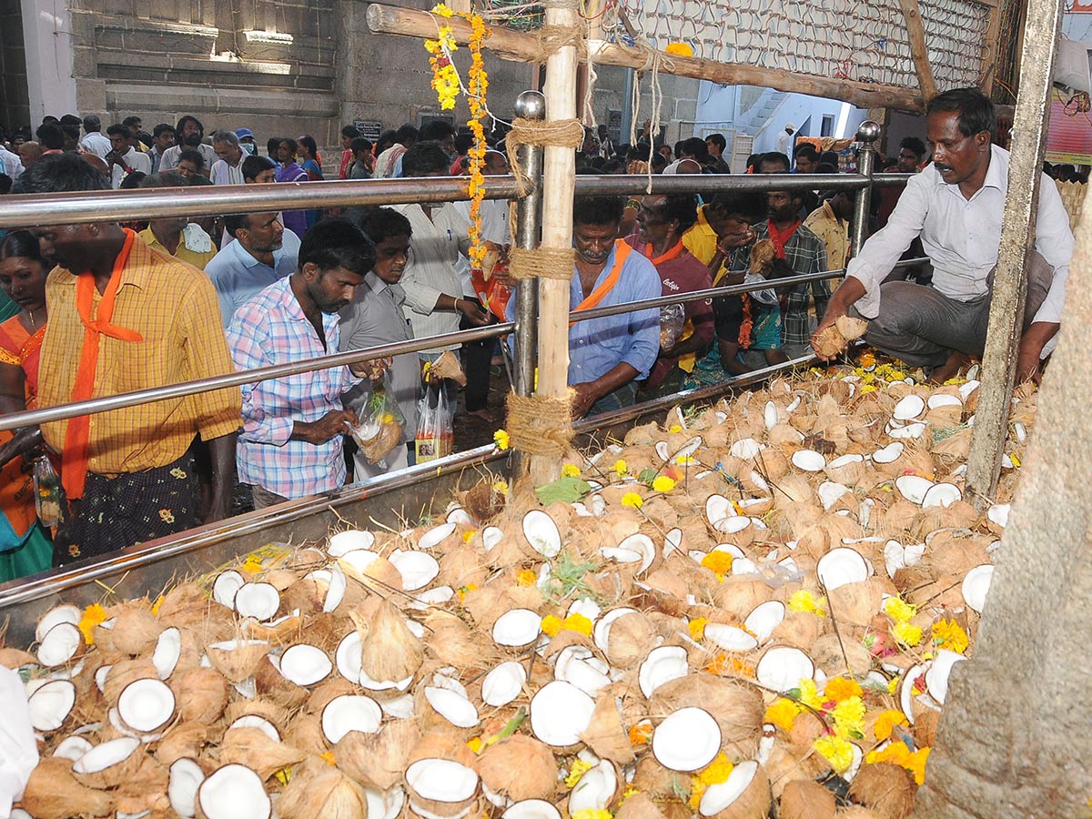 Kadiri Sri Lakshmi Narasimha Swami Rathotsavam Photo Gallery - Sakshi40