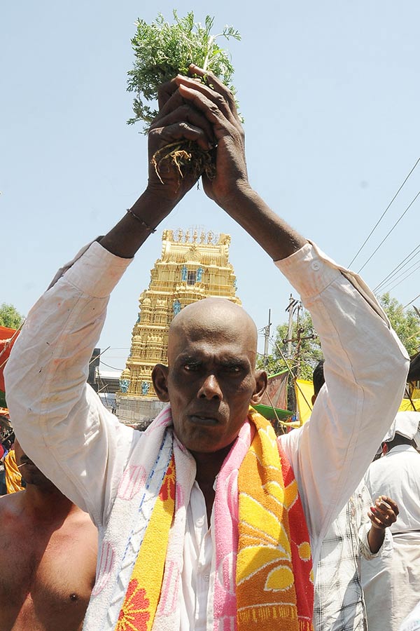 Kadiri Sri Lakshmi Narasimha Swami Rathotsavam Photo Gallery - Sakshi45