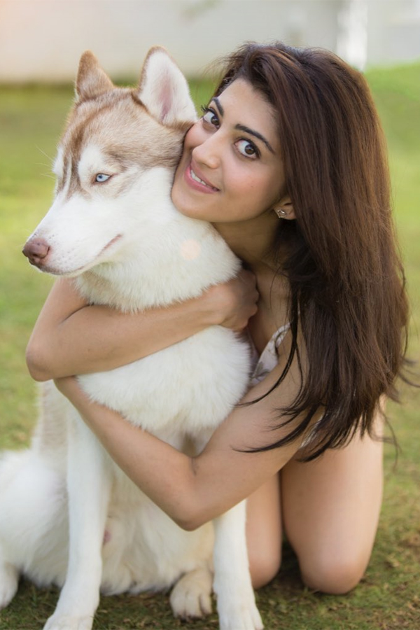 Actress Pranitha Subhash Exclusive Photo Gallery - Sakshi20