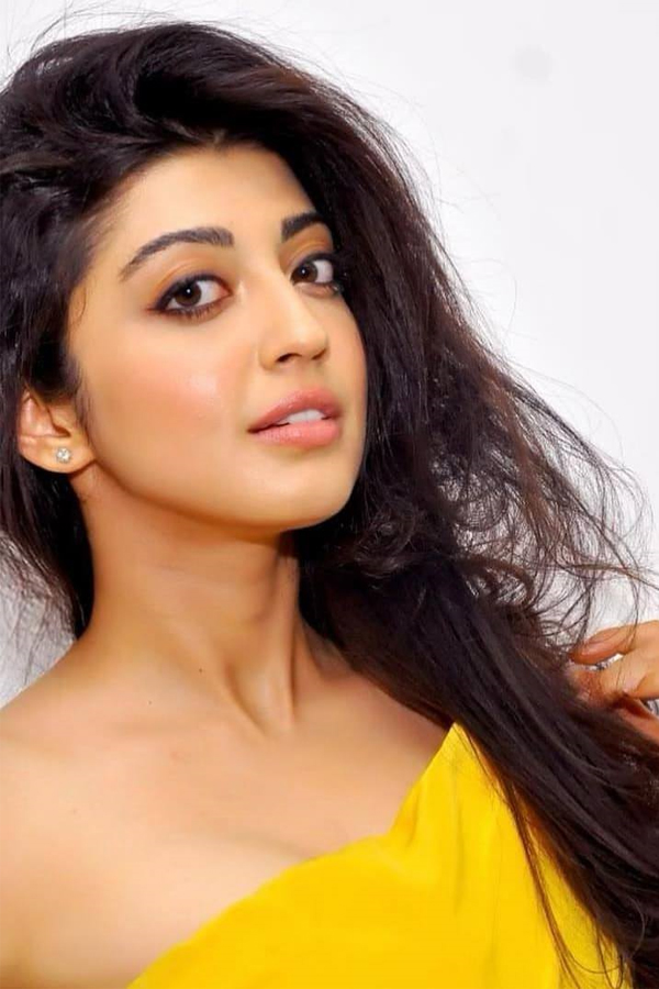 Actress Pranitha Subhash Exclusive Photo Gallery - Sakshi8