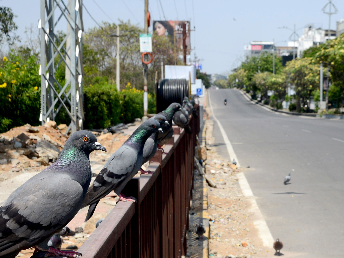 Lockdown in Hyderabad Photo Gallery - Sakshi42