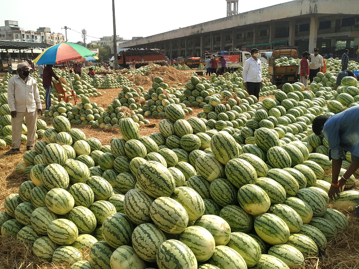 Lockdown in Hyderabad City Photo Gallery - Sakshi8