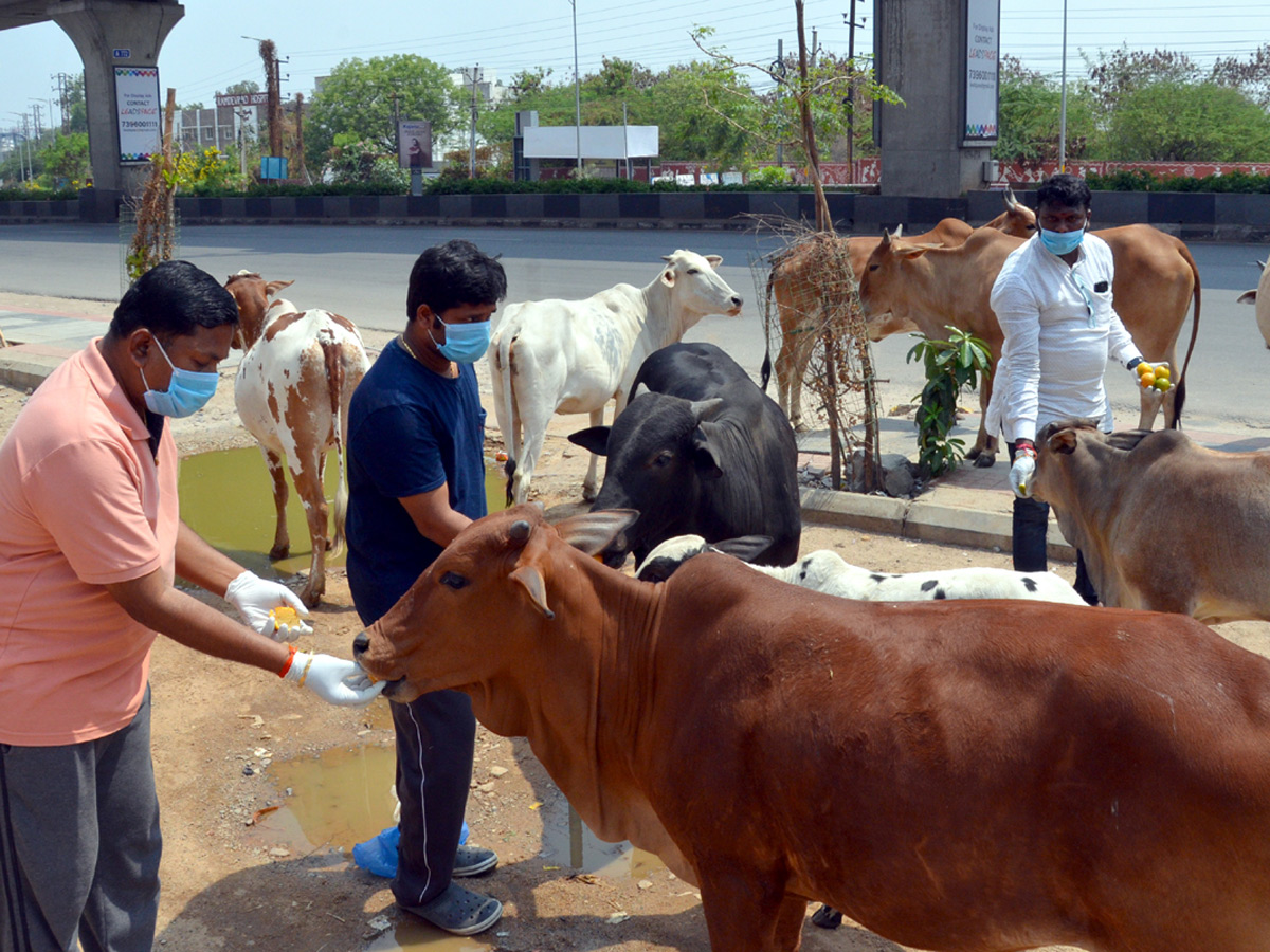 Lockdown in Hyderabad City Photo Gallery - Sakshi11