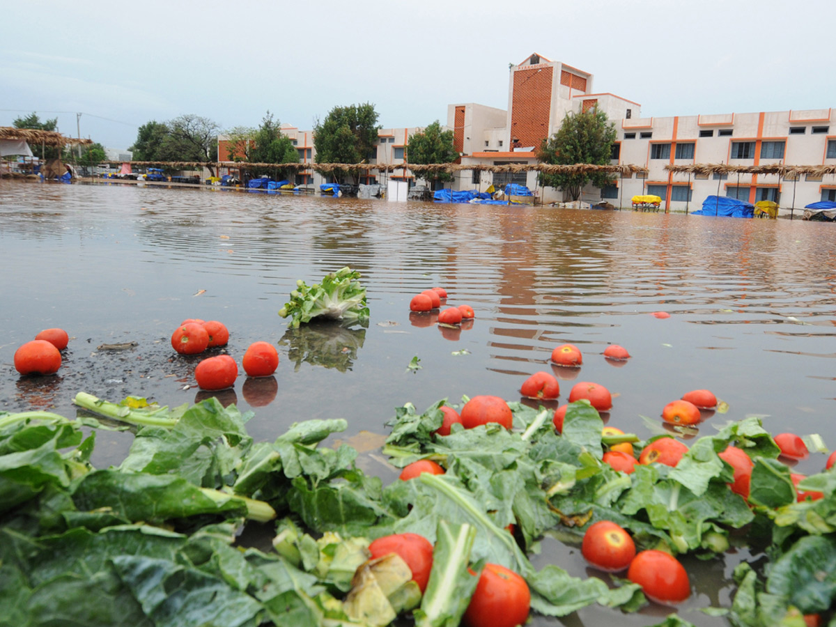 Heavy Rain Andhra Pradesh and Telangana Photo Gallery - Sakshi1