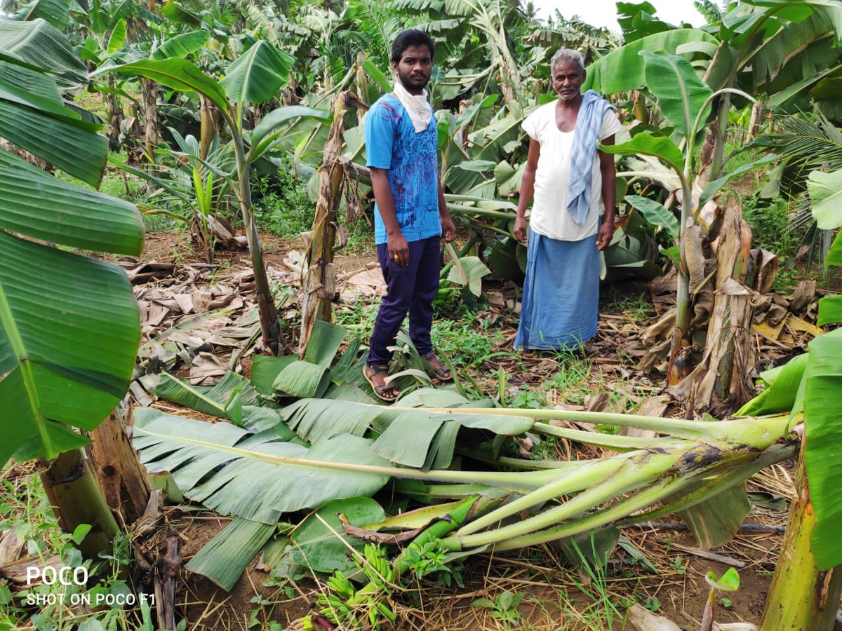 Heavy Rain Andhra Pradesh and Telangana Photo Gallery - Sakshi10