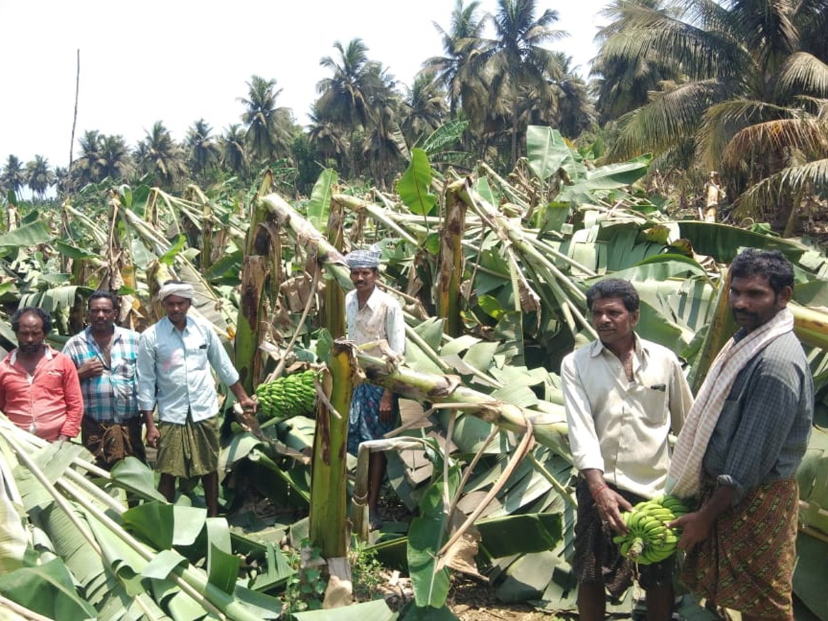 Heavy Rain Andhra Pradesh and Telangana Photo Gallery - Sakshi11