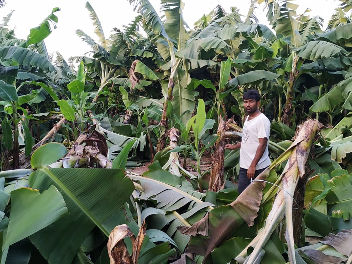 Heavy Rain Andhra Pradesh and Telangana Photo Gallery - Sakshi14