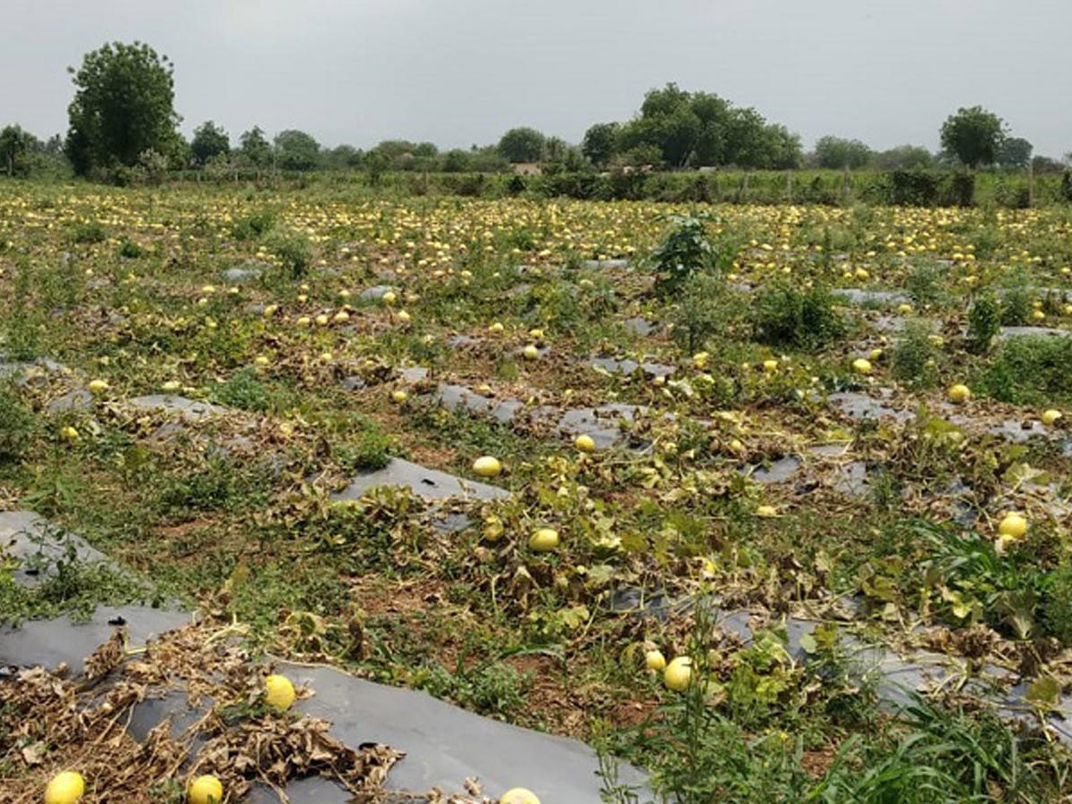 Heavy Rain Andhra Pradesh and Telangana Photo Gallery - Sakshi18