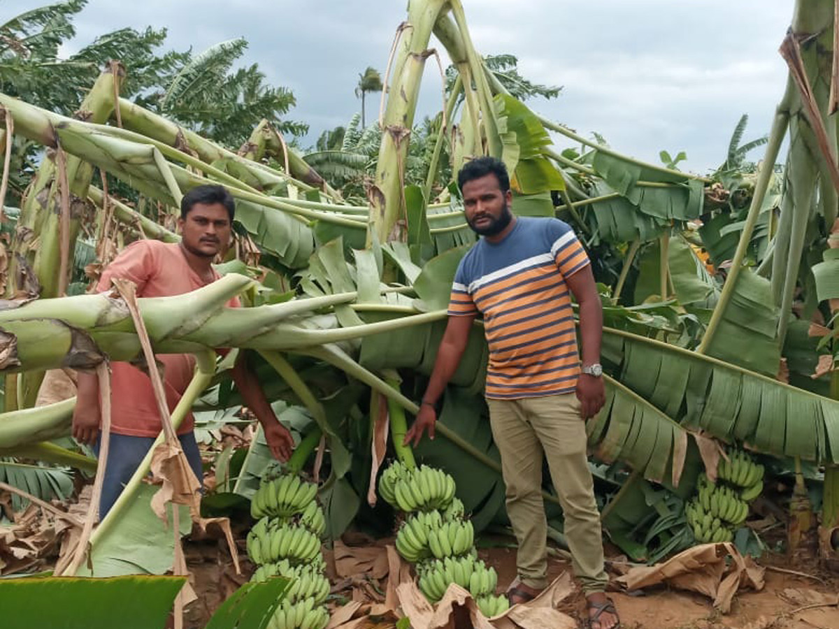 Heavy Rain Andhra Pradesh and Telangana Photo Gallery - Sakshi19