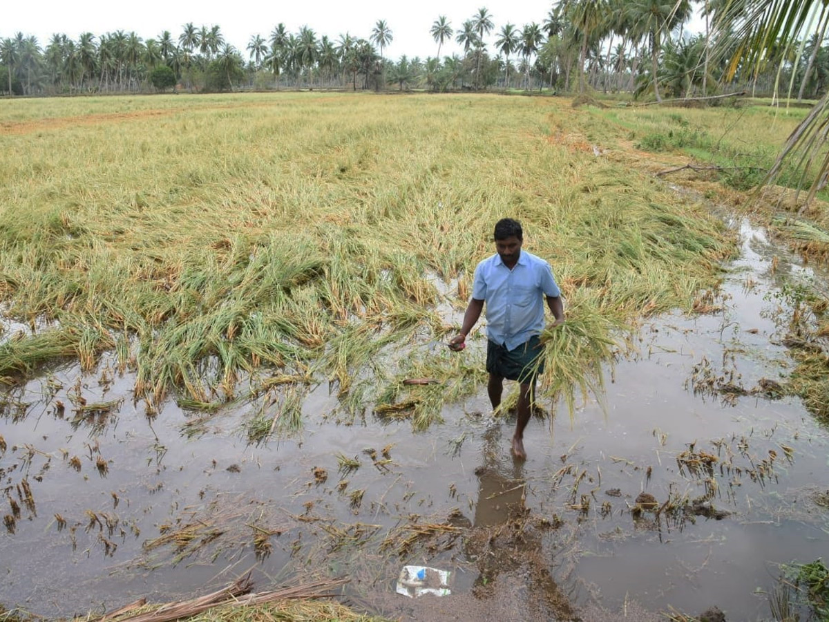 Heavy Rain Andhra Pradesh and Telangana Photo Gallery - Sakshi2