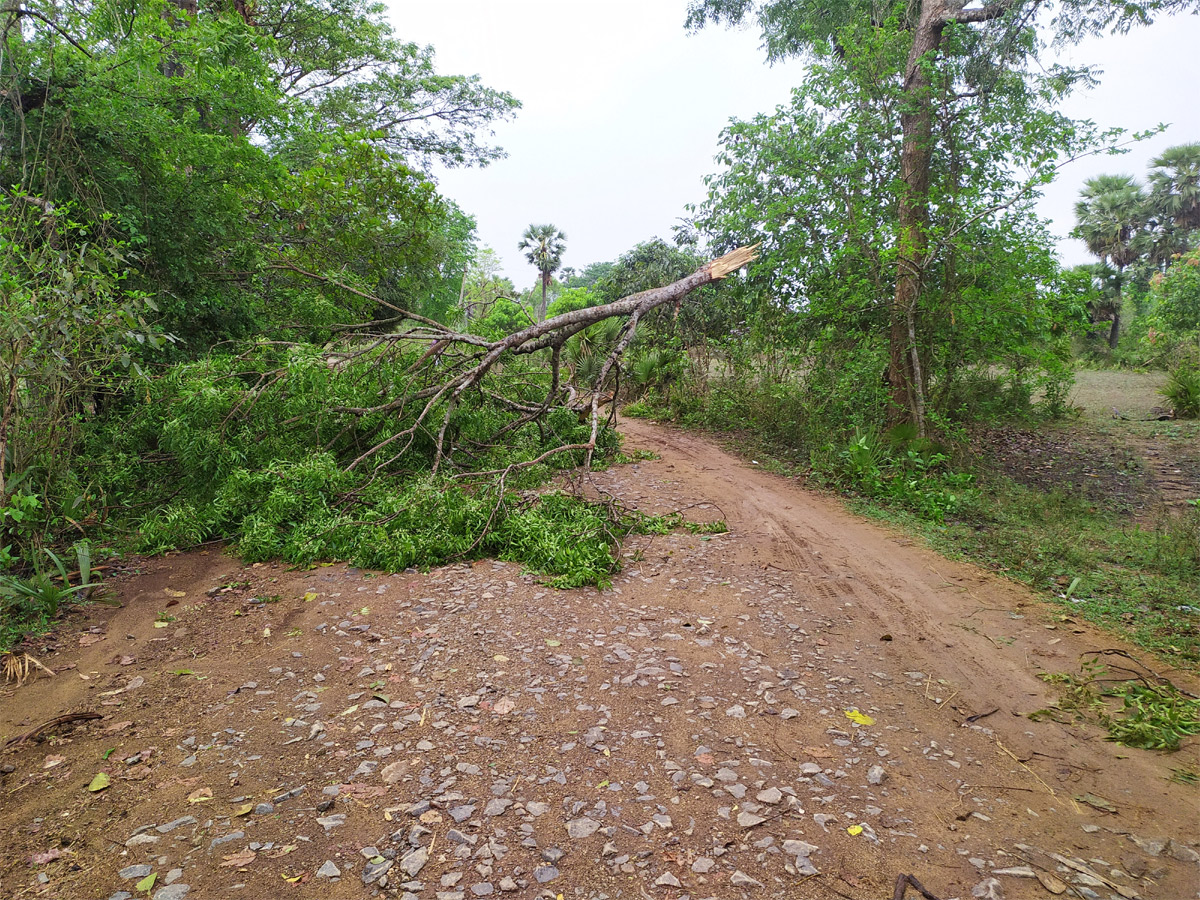 Heavy Rain Andhra Pradesh and Telangana Photo Gallery - Sakshi23