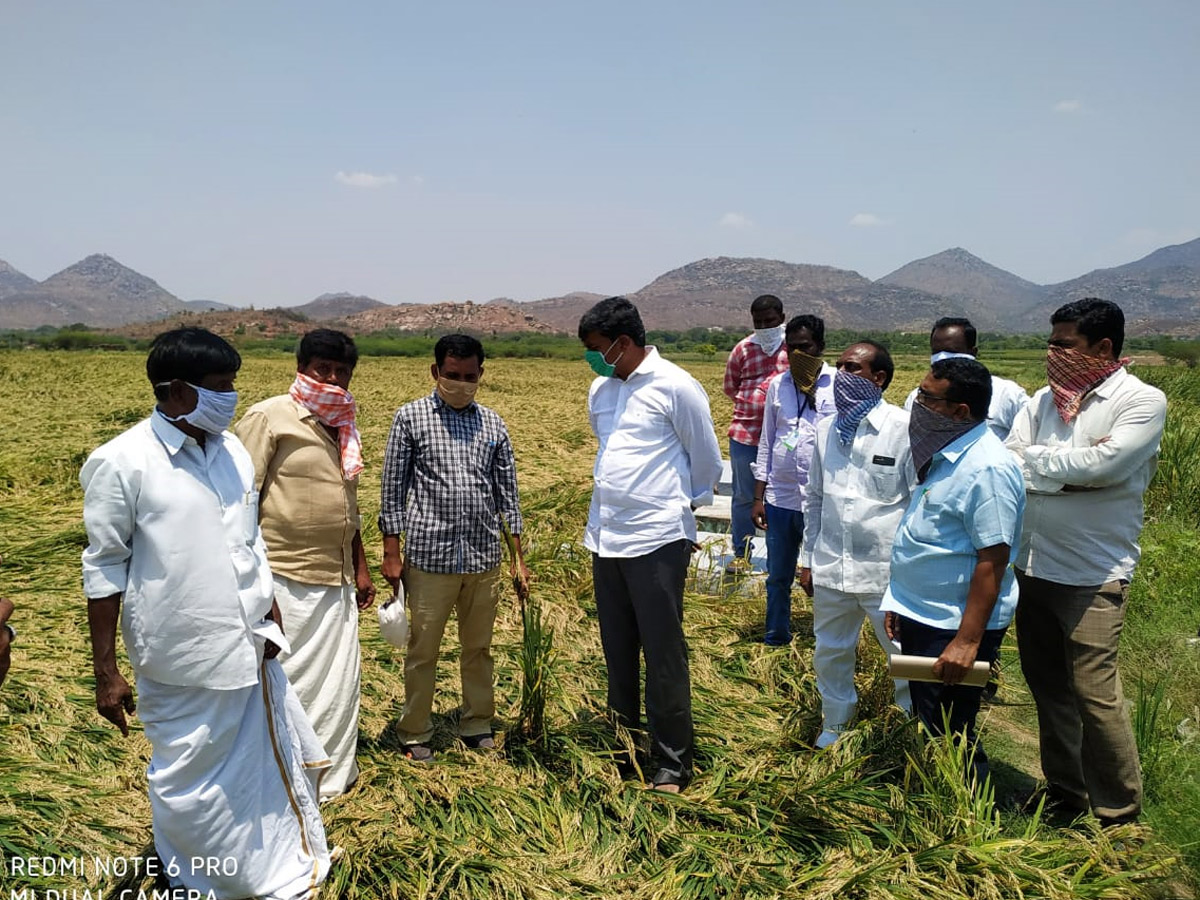 Heavy Rain Andhra Pradesh and Telangana Photo Gallery - Sakshi24