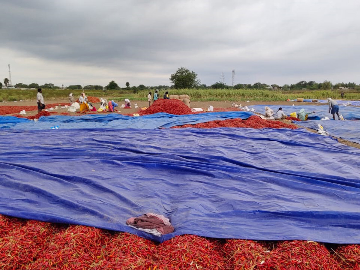 Heavy Rain Andhra Pradesh and Telangana Photo Gallery - Sakshi25