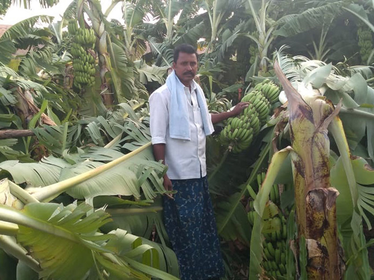 Heavy Rain Andhra Pradesh and Telangana Photo Gallery - Sakshi29