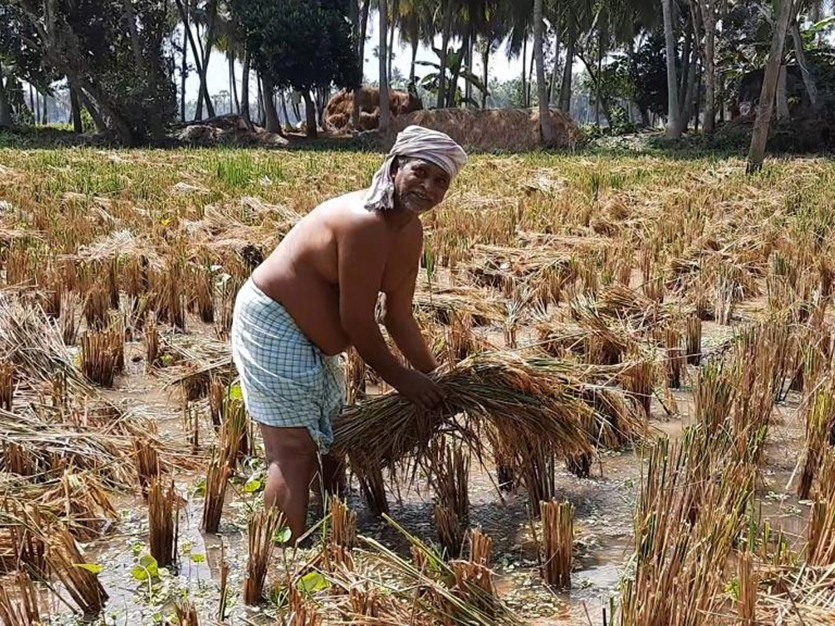 Heavy Rain Andhra Pradesh and Telangana Photo Gallery - Sakshi3