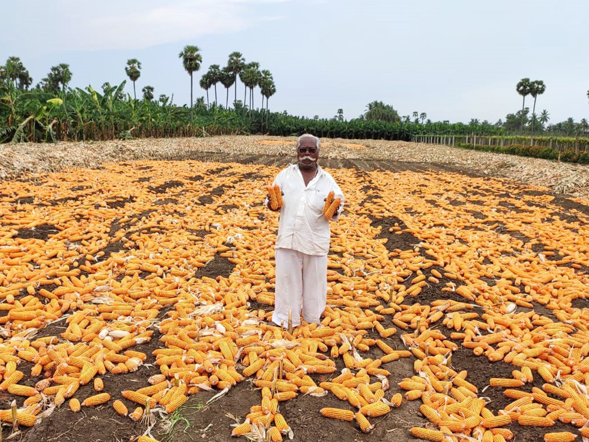 Heavy Rain Andhra Pradesh and Telangana Photo Gallery - Sakshi39