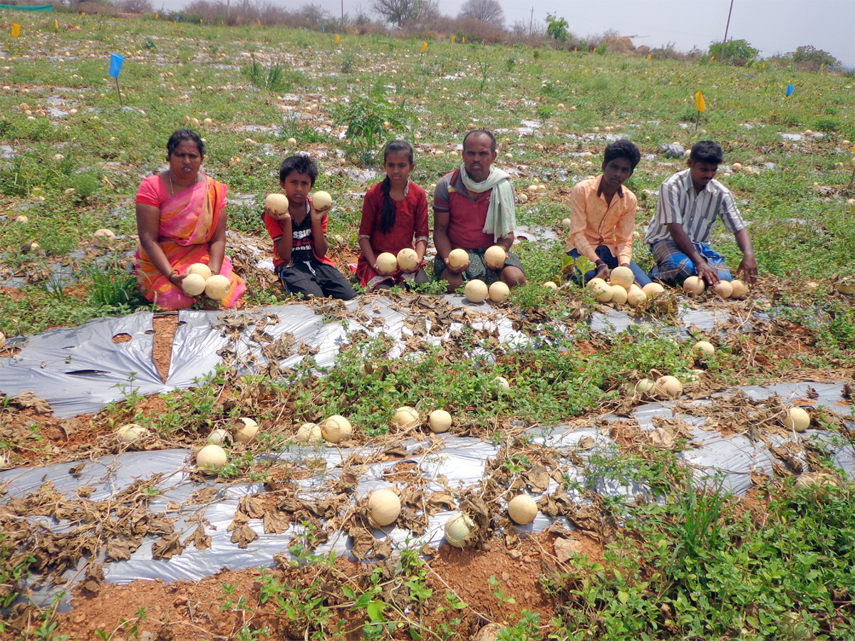 Heavy Rain Andhra Pradesh and Telangana Photo Gallery - Sakshi4