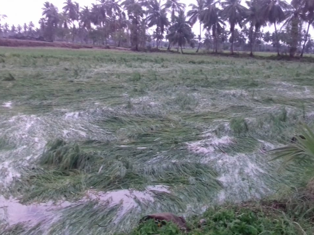 Heavy Rain Andhra Pradesh and Telangana Photo Gallery - Sakshi5