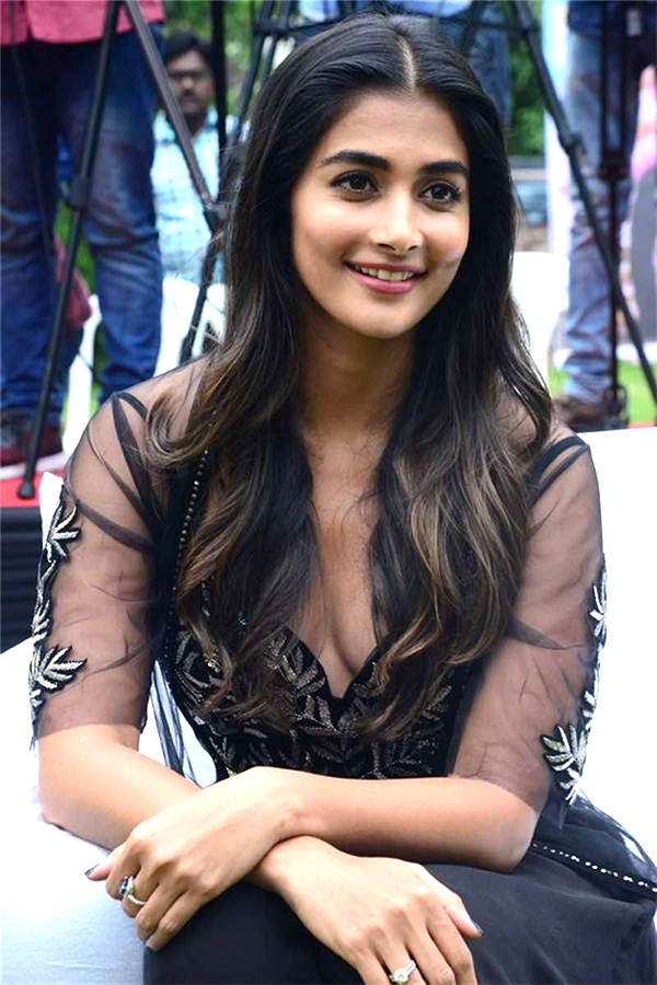 Actress Pooja Hegde Exclusive Photo Gallery - Sakshi4