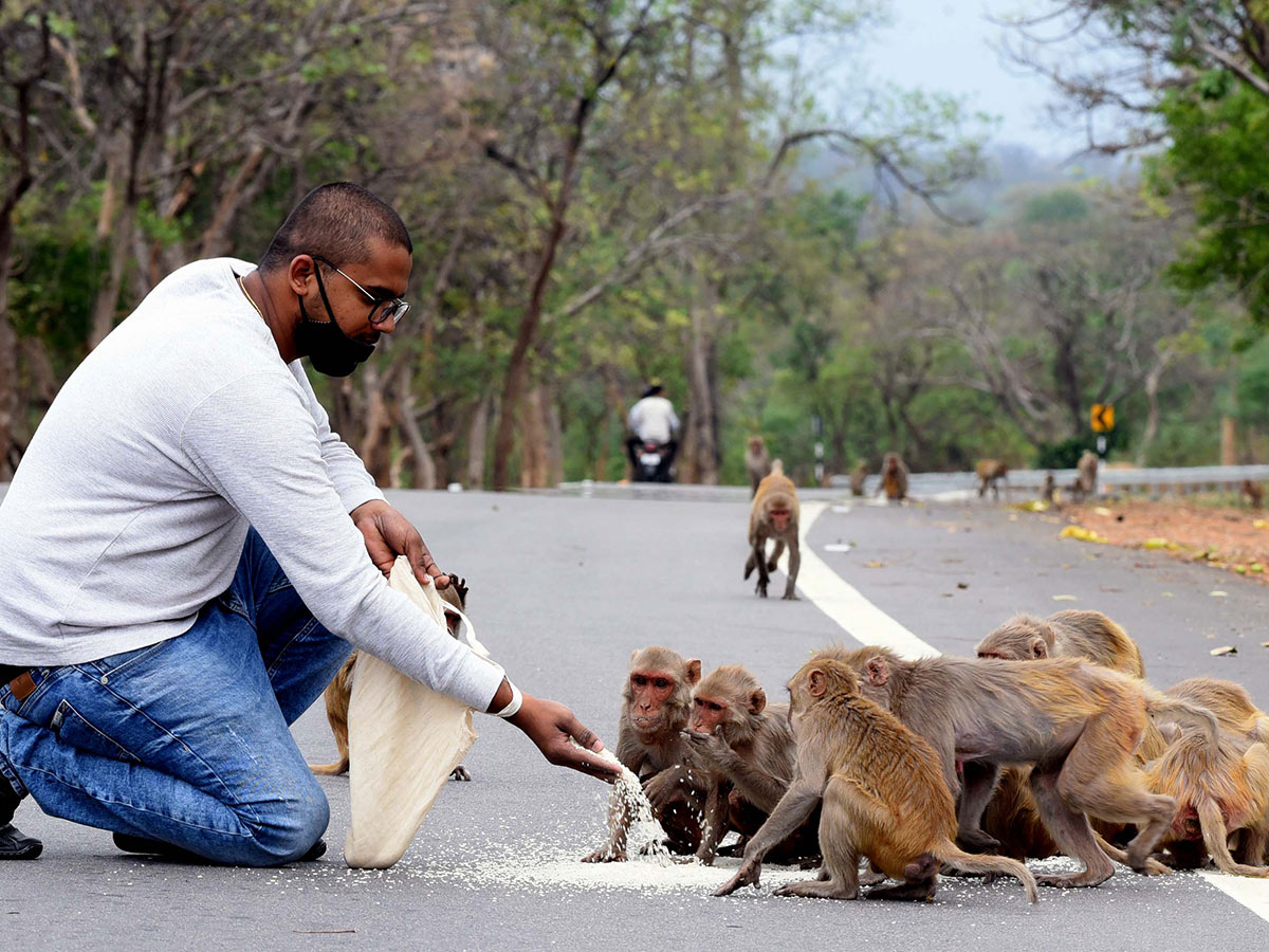 Lockdown in Hyderabad City Photo Gallery - Sakshi37