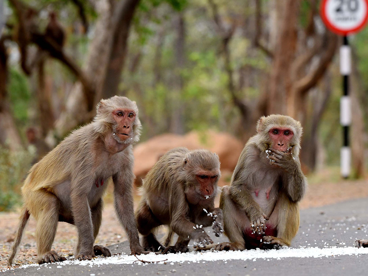 Lockdown in Hyderabad City Photo Gallery - Sakshi39