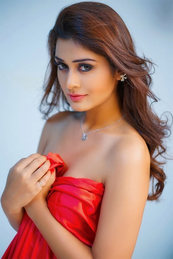 Actress Payal Rajput Exclusive Photo Gallery - Sakshi23