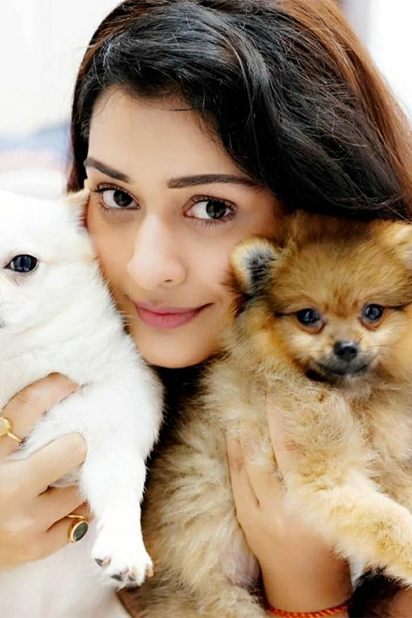 Actress Payal Rajput Exclusive Photo Gallery - Sakshi30