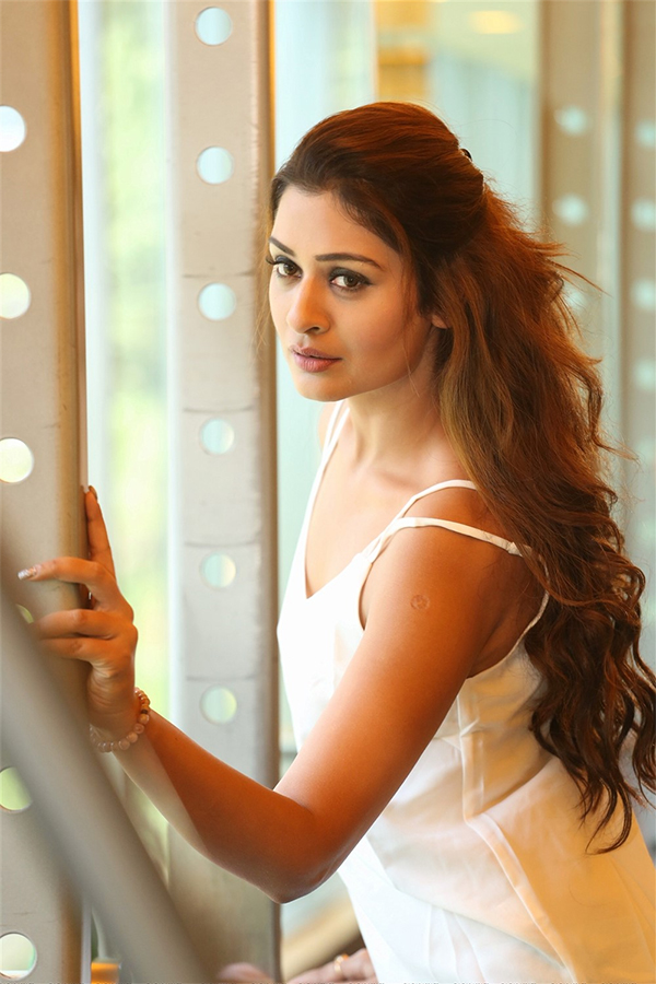 Actress Payal Rajput Exclusive Photo Gallery - Sakshi62