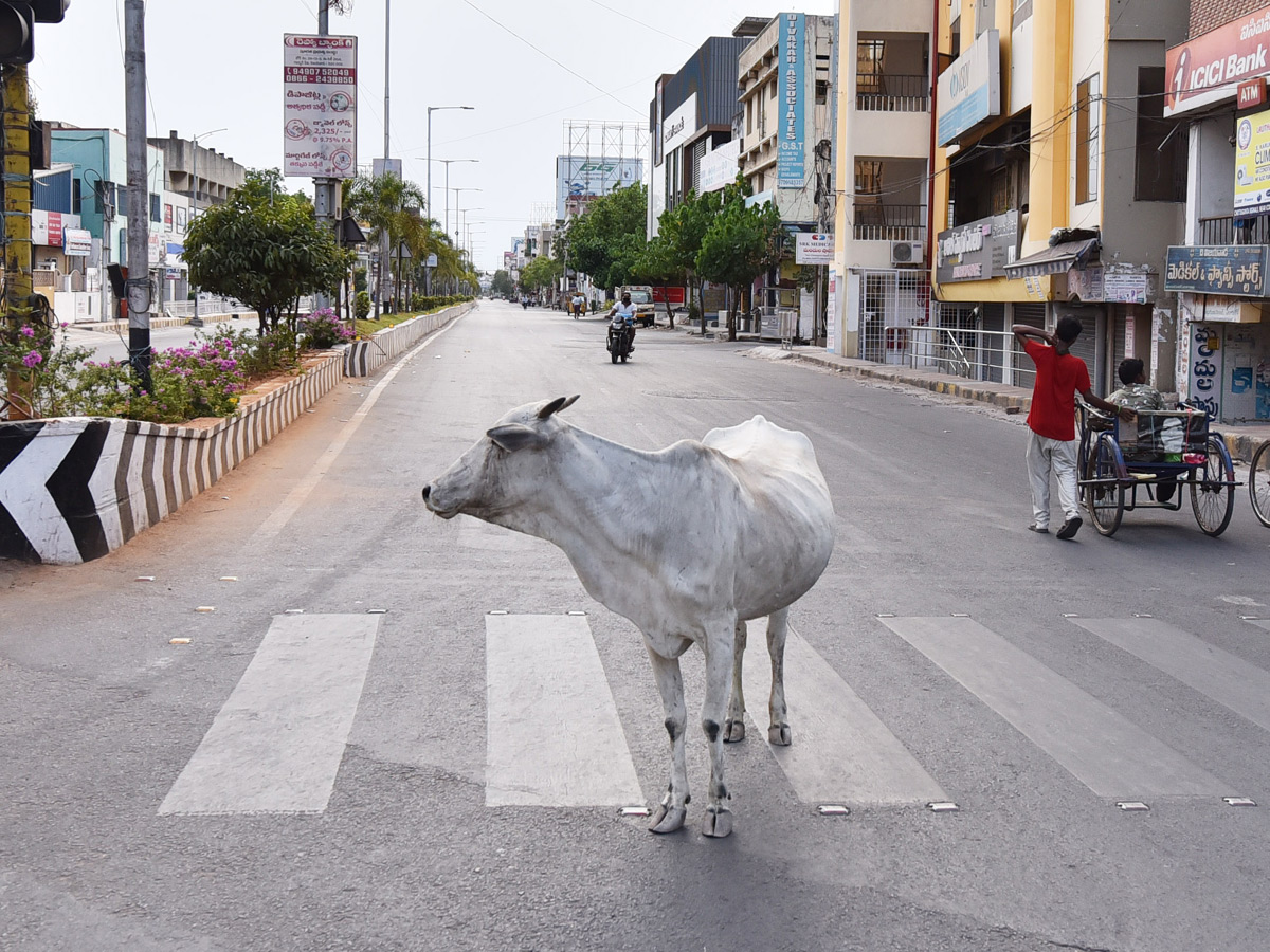 Lockdown in Andhra pradesh Photo Gallery - Sakshi4