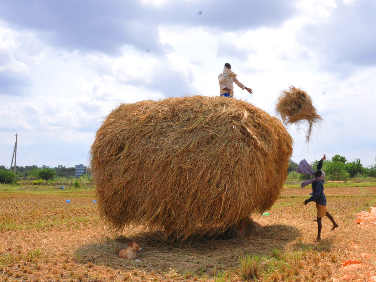 Lockdown in Andhra pradesh Photo Gallery - Sakshi17