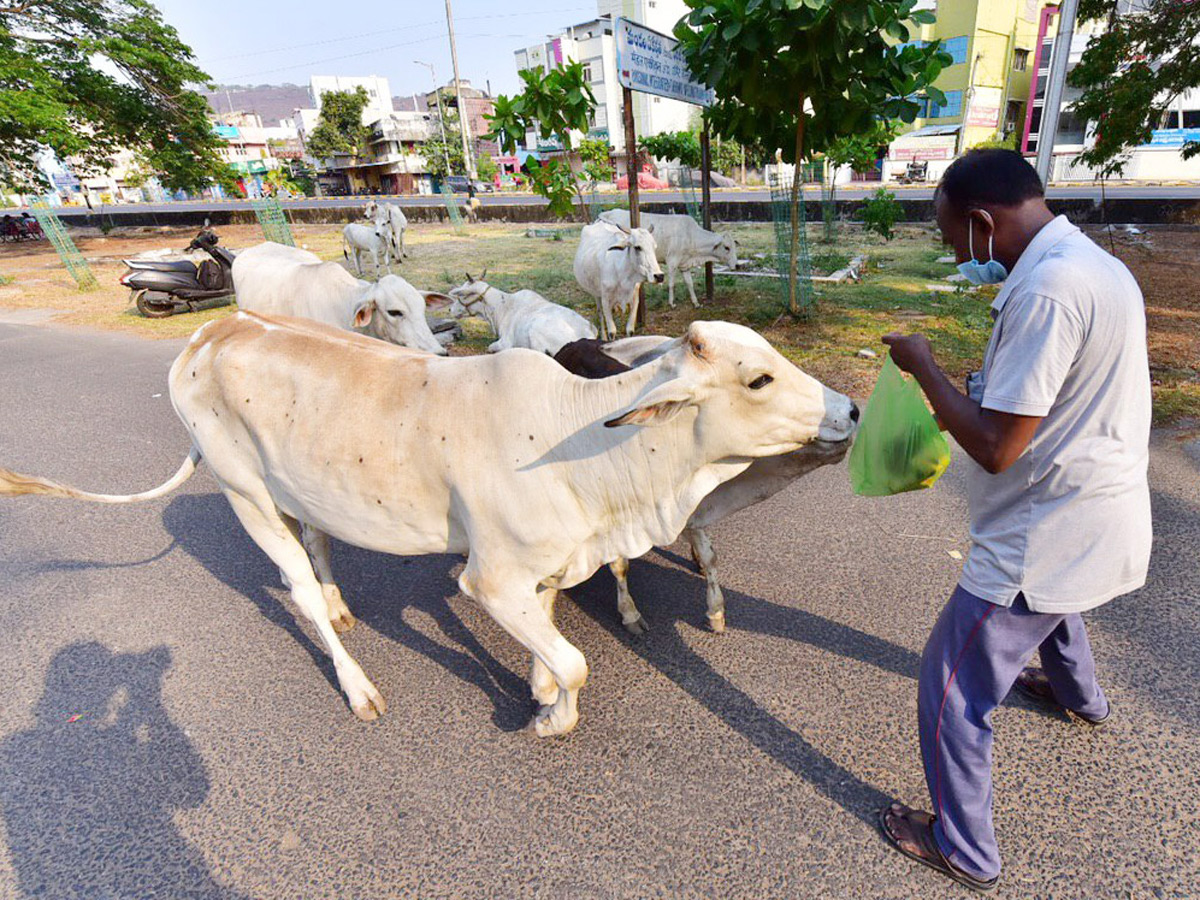 Lockdown in Andhra pradesh Photo Gallery - Sakshi32