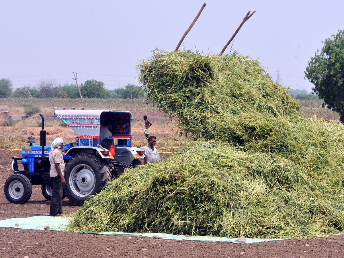 Lockdown in Andhra pradesh Photo Gallery - Sakshi6