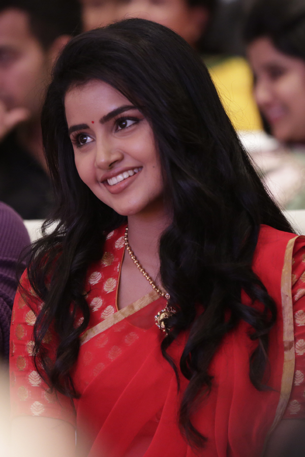 Actress Anupama Parameswaran Exclusive Photo Gallery - Sakshi10