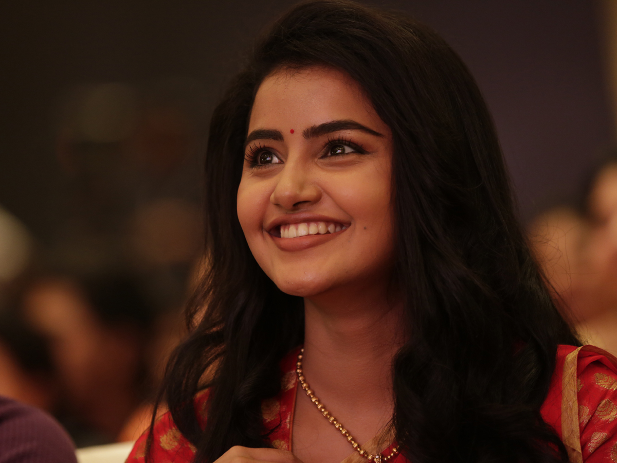 Actress Anupama Parameswaran Exclusive Photo Gallery - Sakshi13