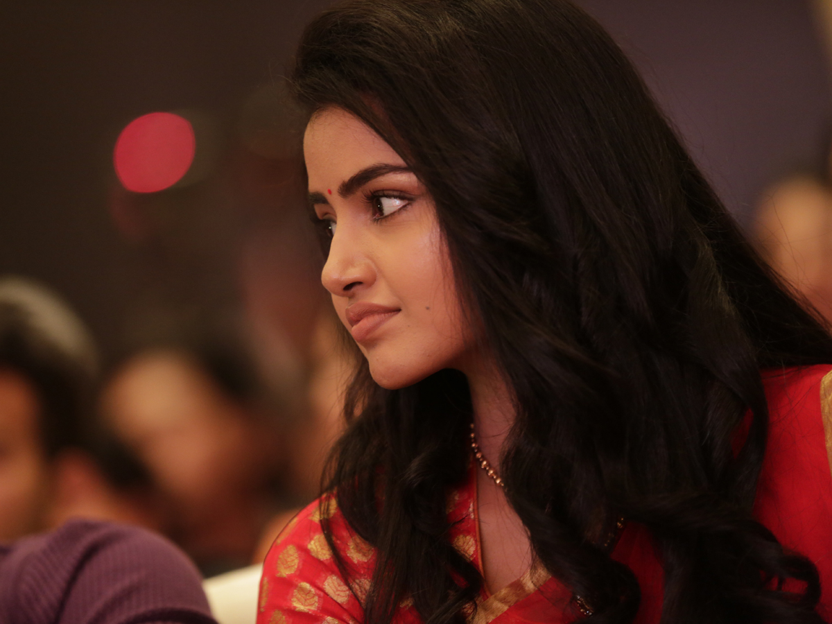 Actress Anupama Parameswaran Exclusive Photo Gallery - Sakshi28