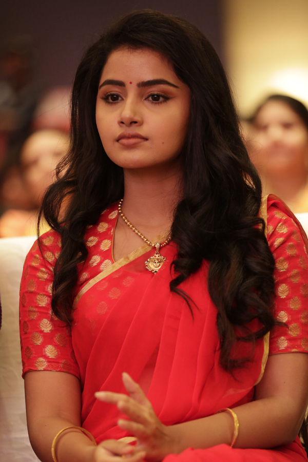 Actress Anupama Parameswaran Exclusive Photo Gallery - Sakshi4