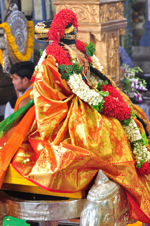 Sri Rama Navami Celebrations in Bhadrachalam Photo Gallery - Sakshi8