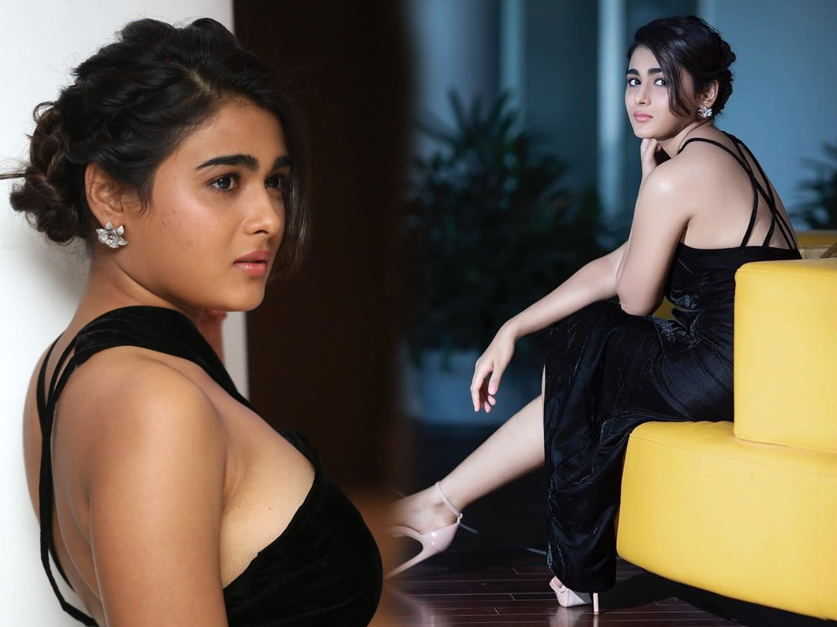 actress shalini pandey exclusive photo gallery - Sakshi1