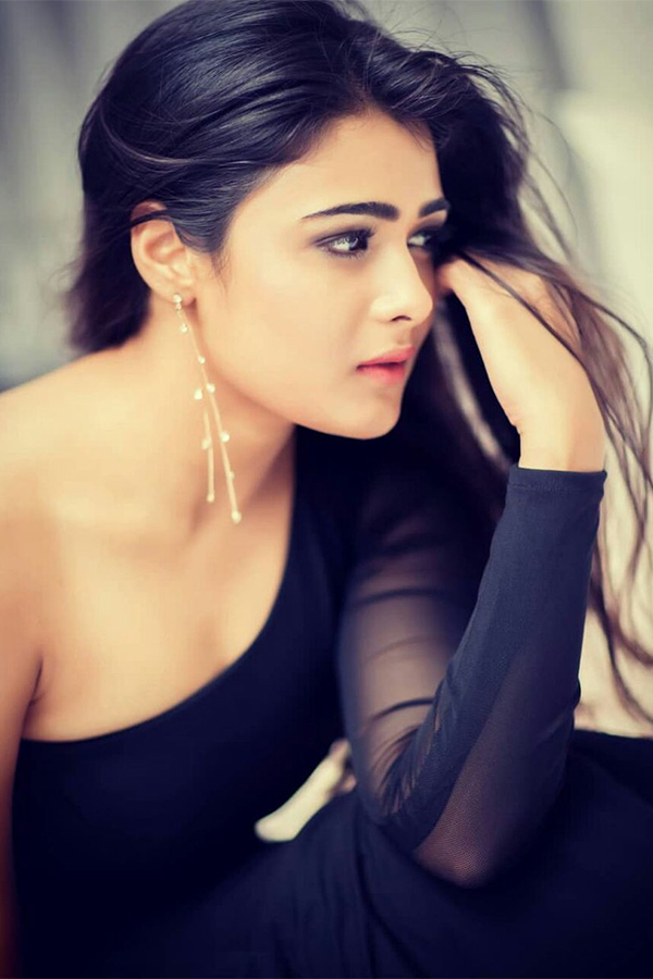 actress shalini pandey exclusive photo gallery - Sakshi4