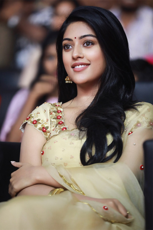 Actress Anu Emmanuel Exclusive Photo Gallery - Sakshi2