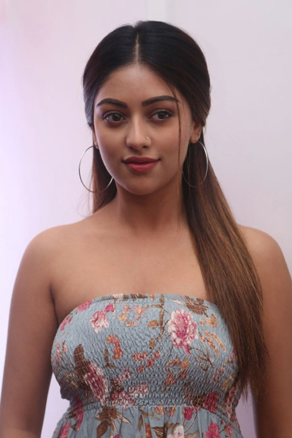 Actress Anu Emmanuel Exclusive Photo Gallery - Sakshi21