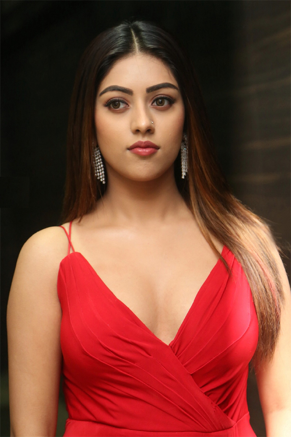 Actress Anu Emmanuel Exclusive Photo Gallery - Sakshi4