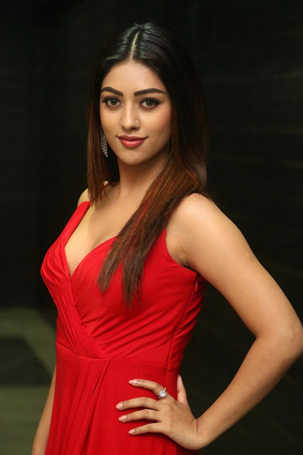 Actress Anu Emmanuel Exclusive Photo Gallery - Sakshi42