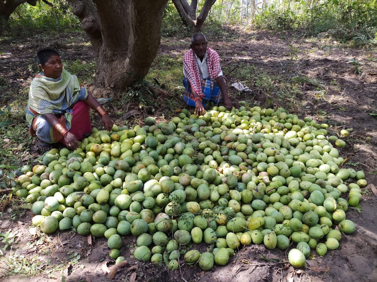 Rain in Andhra Pradesh Photo Gallery - Sakshi1