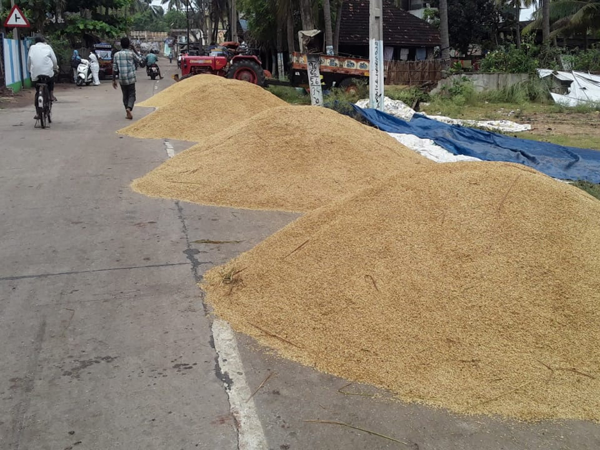 Rain in Andhra Pradesh Photo Gallery - Sakshi10