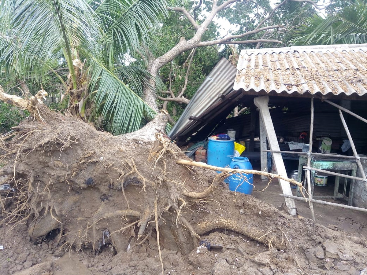 Rain in Andhra Pradesh Photo Gallery - Sakshi11