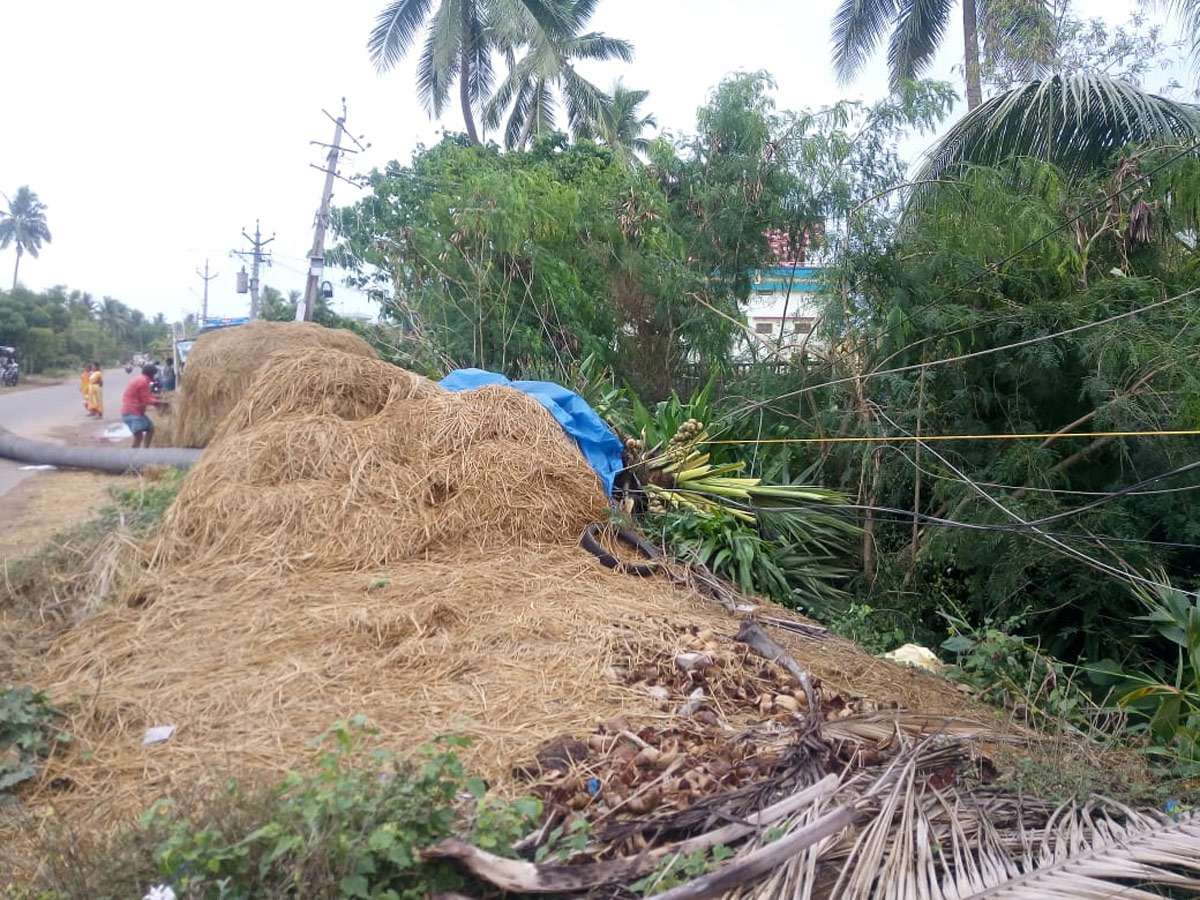 Rain in Andhra Pradesh Photo Gallery - Sakshi12