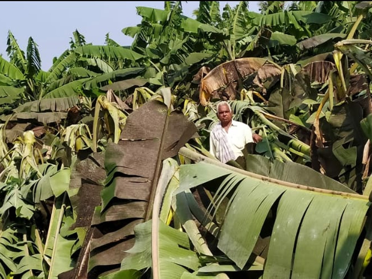 Rain in Andhra Pradesh Photo Gallery - Sakshi3