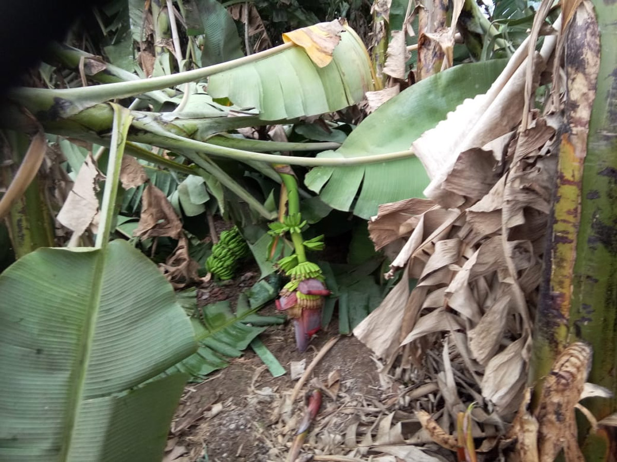 Rain in Andhra Pradesh Photo Gallery - Sakshi7